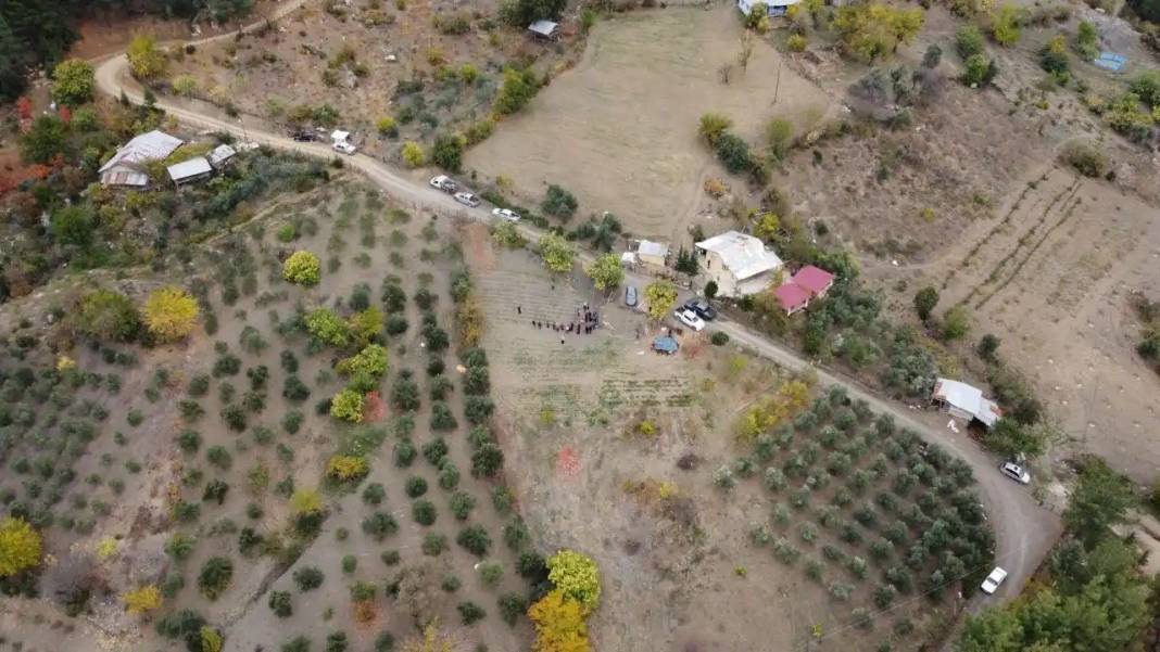 Adana’da Dünyanın En Pahalı Baharatı Safran Hasadı Başladı! 8